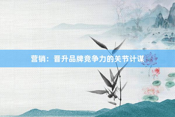 营销：晋升品牌竞争力的关节计谋