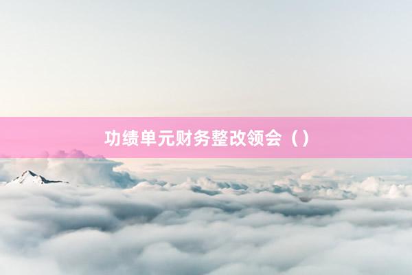 功绩单元财务整改领会（）